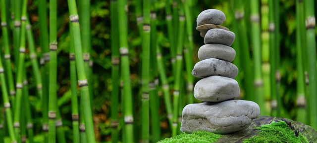 beginner wellness education icon